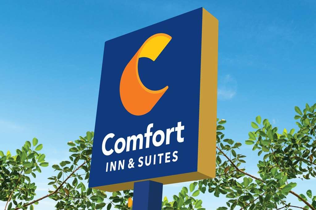 Comfort Inn & Suites Carrollton Exterior photo